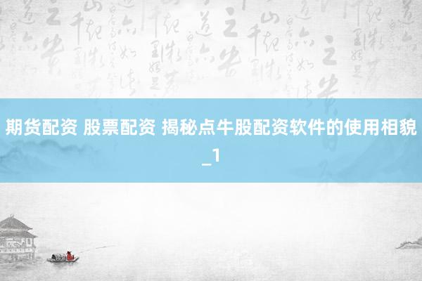 期货配资 股票配资 揭秘点牛股配资软件的使用相貌_1